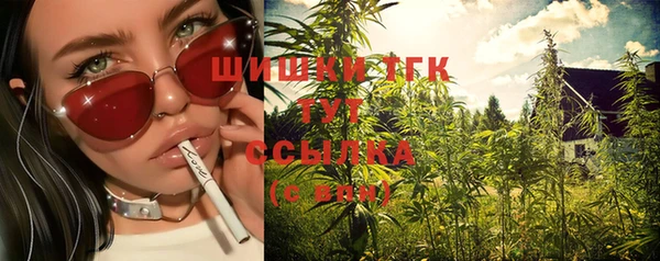 ГАЛЛЮЦИНОГЕННЫЕ ГРИБЫ Краснотурьинск