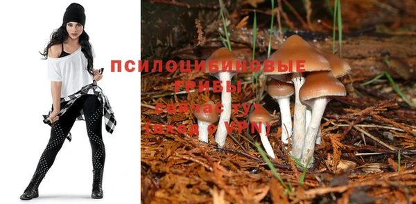 ГАЛЛЮЦИНОГЕННЫЕ ГРИБЫ Краснотурьинск