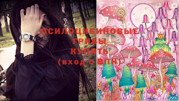 ГАЛЛЮЦИНОГЕННЫЕ ГРИБЫ Красноперекопск