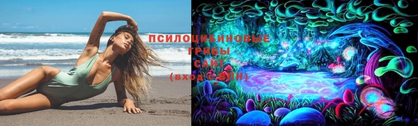 ГАЛЛЮЦИНОГЕННЫЕ ГРИБЫ Красноперекопск