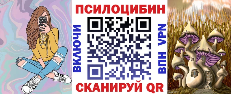 дарнет шоп  Абинск  Галлюциногенные грибы ЛСД 